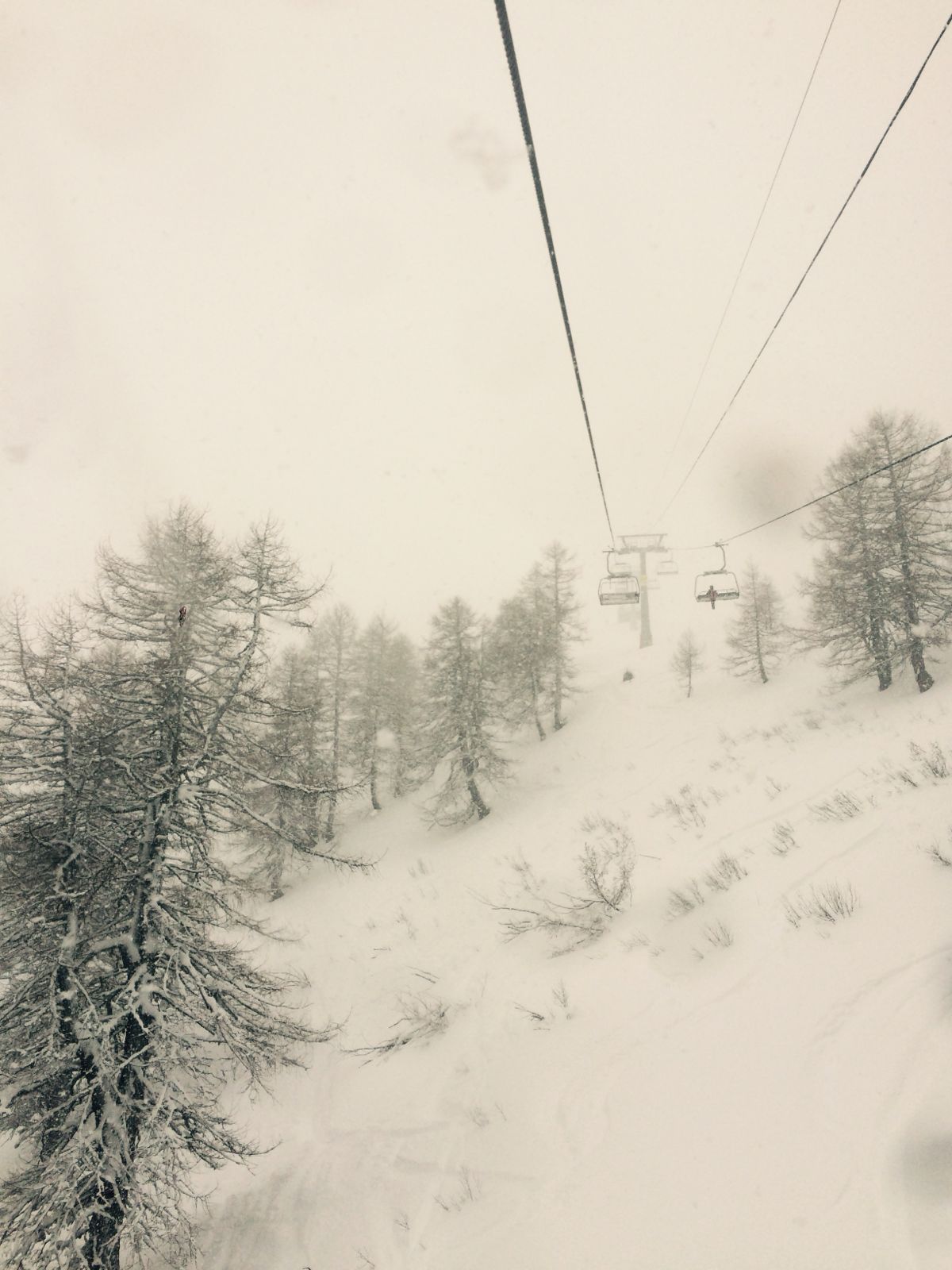 INTO THE WHITE