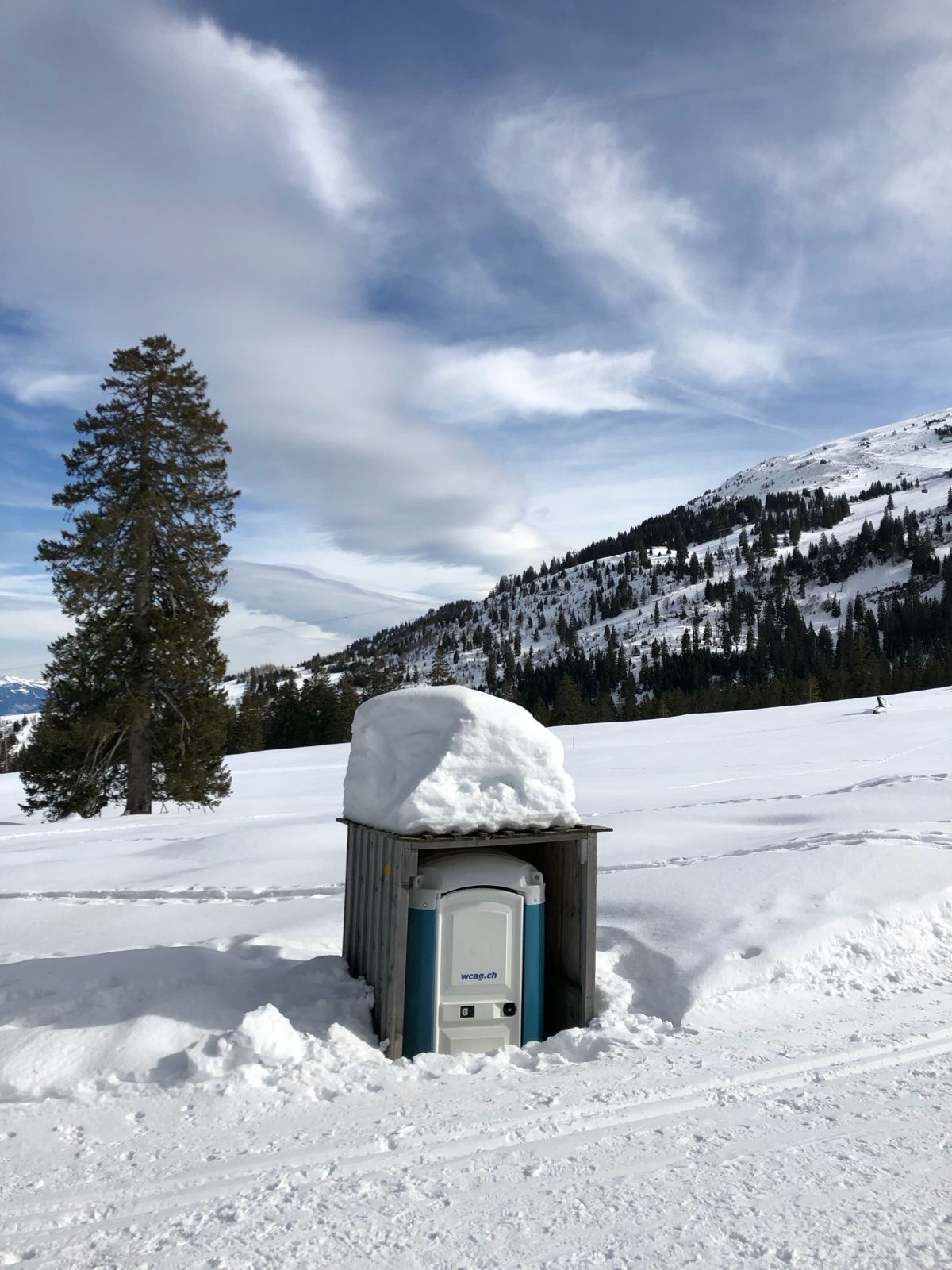Toilet at the Top